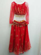 Red &amp; Gold Bollywood Outfit